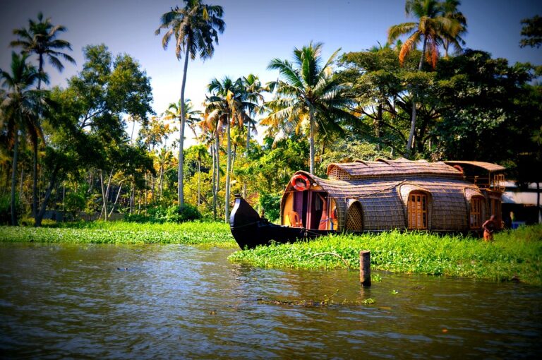 A Sustainable World beyond the Kerala Backwater Cruise